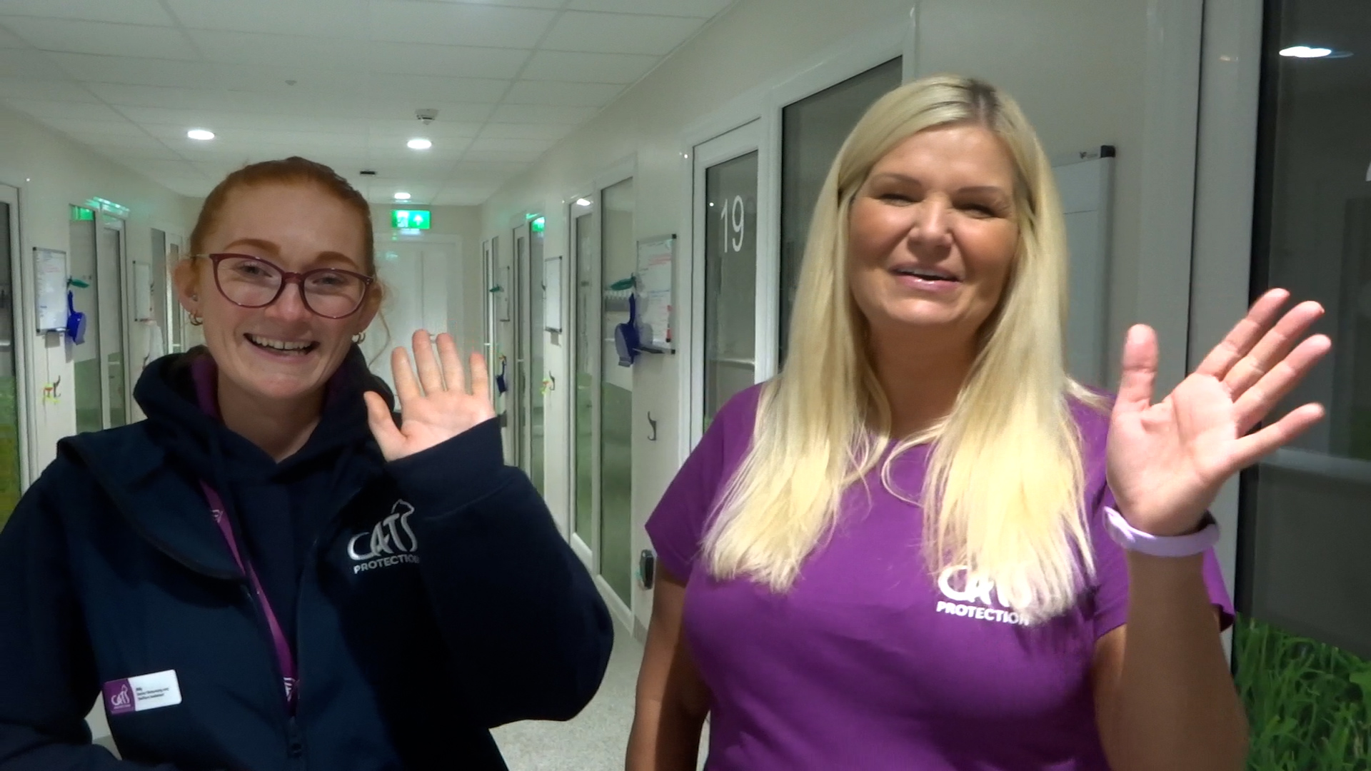 Video: Scottish Career's Week - cat centre tour